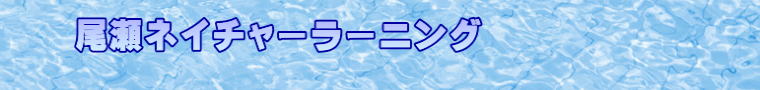 lC`[[jO